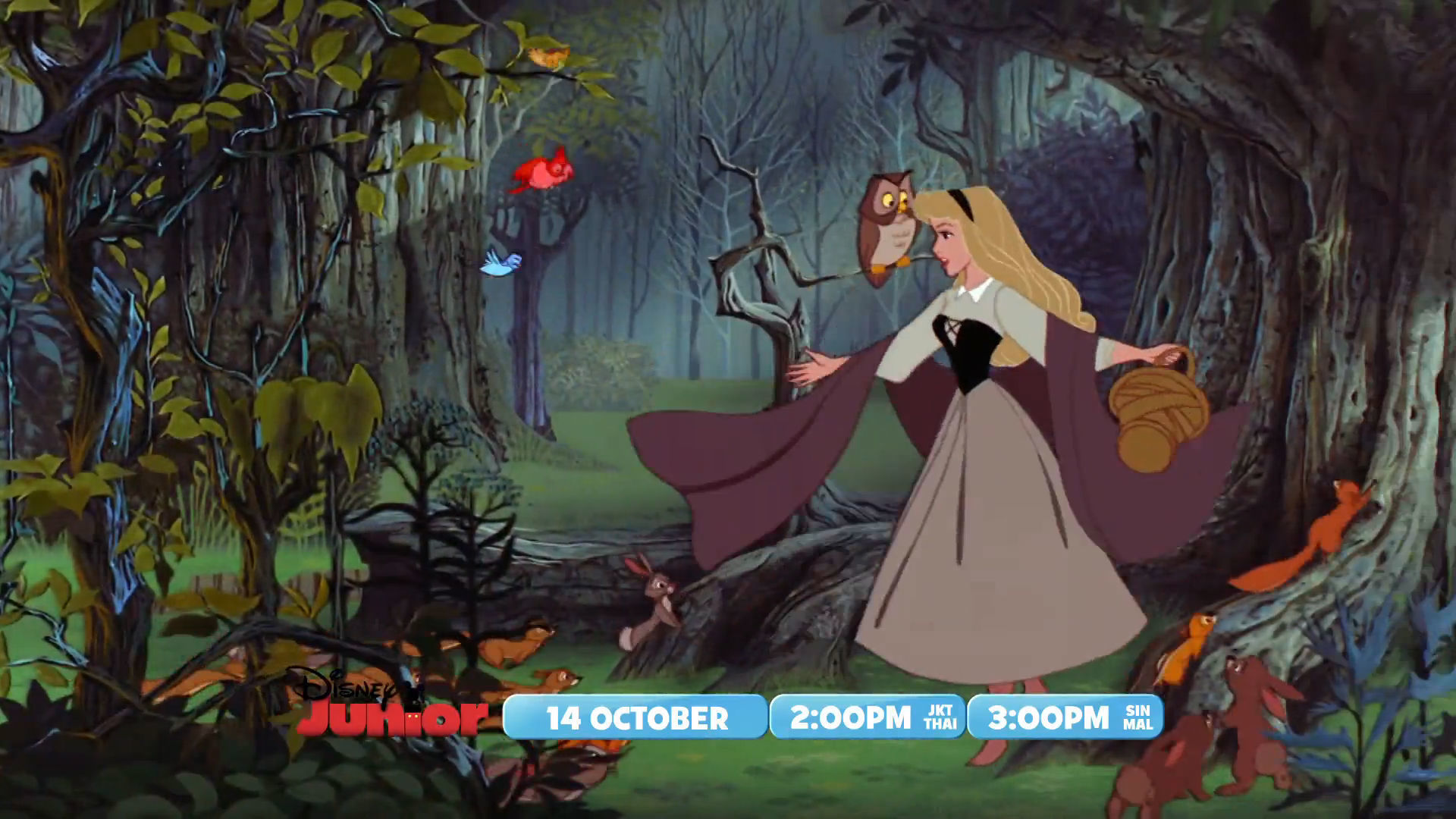 Disney Junior | Indonesia | Where the Magic Begins