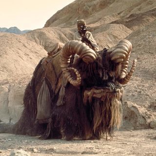 bantha-main-image_b3ab933d.jpeg