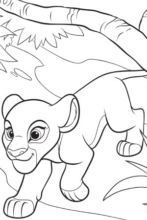 The Lion Guard Colouring Sheet 3 Disney Junior Singapore