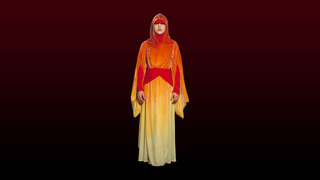 Naboo Royal Handmaidens