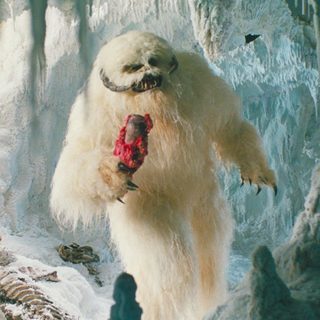 Wampa