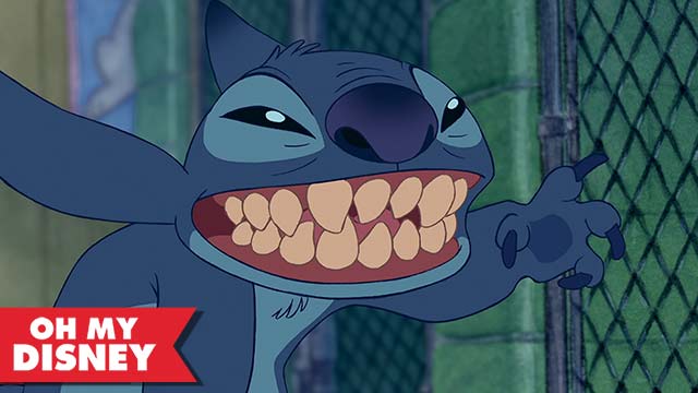 Can You Stitch Dog Bites Can You Stitch Dog Bites