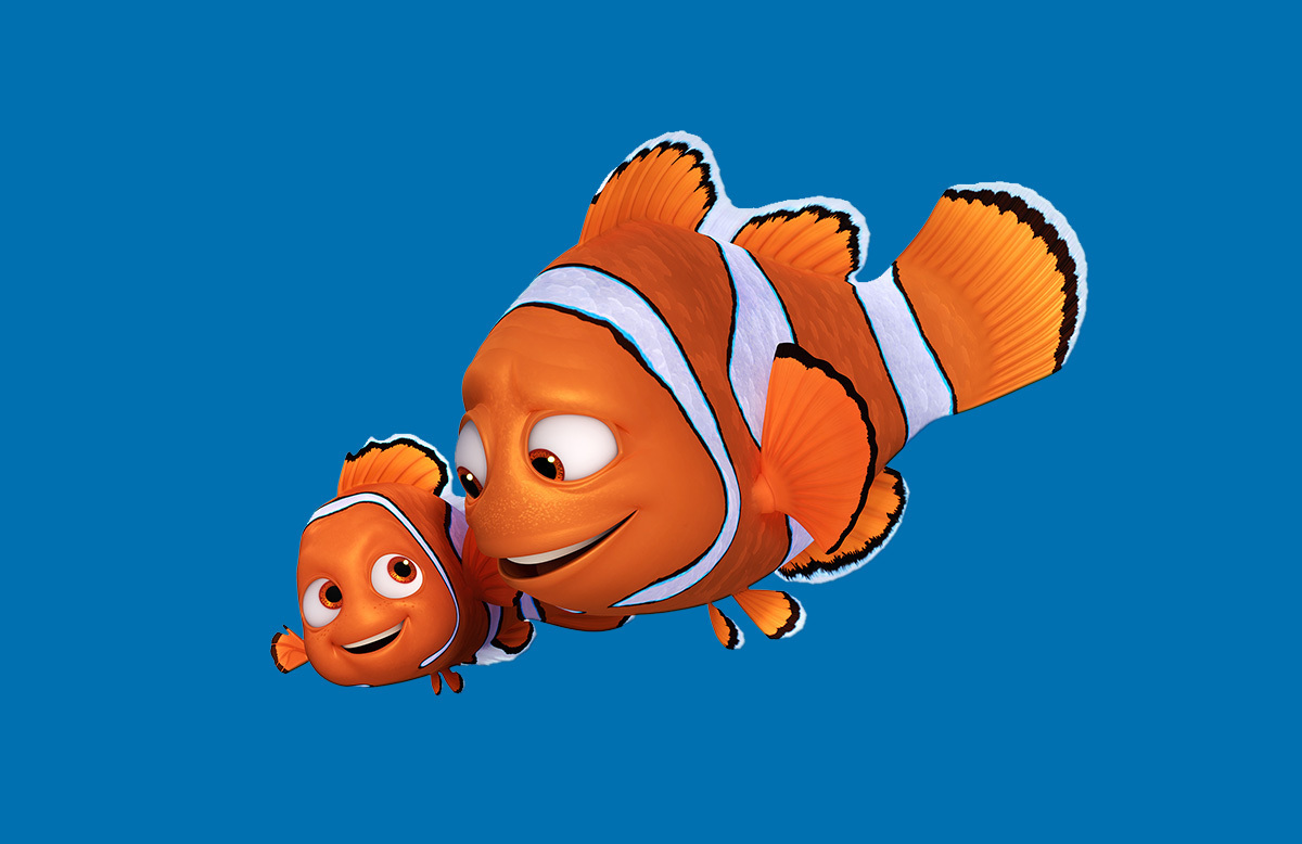 Marlin e Nemo
