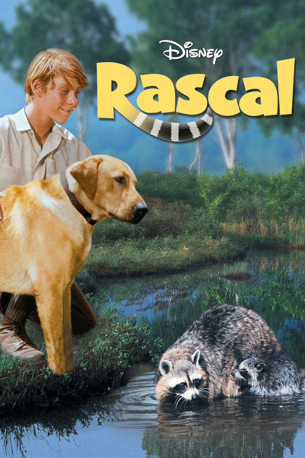 Rascal Disney Movies Rascal Disney Movies