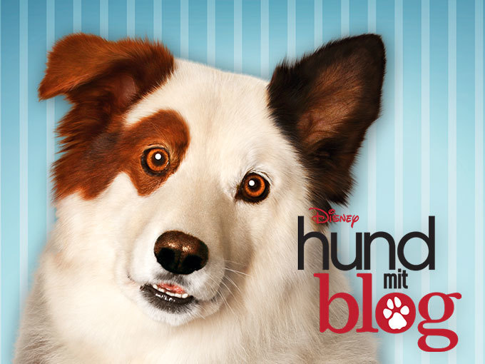 Hund mit Blog Disney Channel Shows