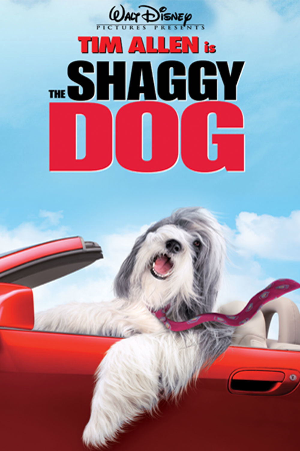 the shaggy 2006 the shaggy 2006 the shaggy 2006 the shaggy 2006