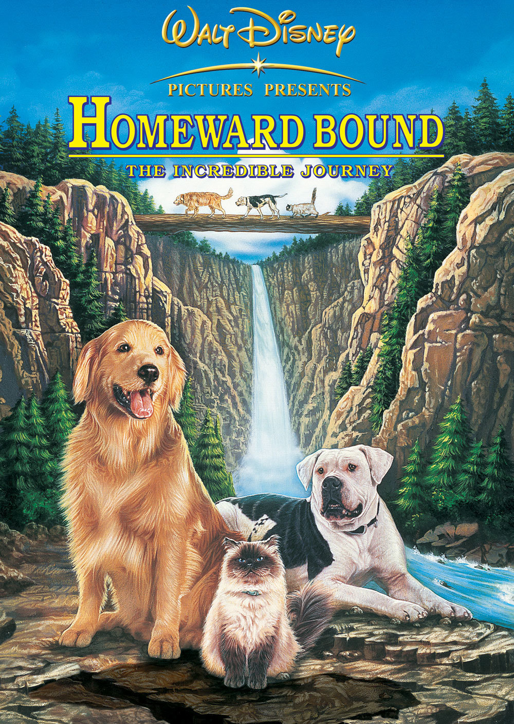 「Homeward Bound The Incredible Journey」の画像検索結果