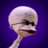 Dr. Finklestein