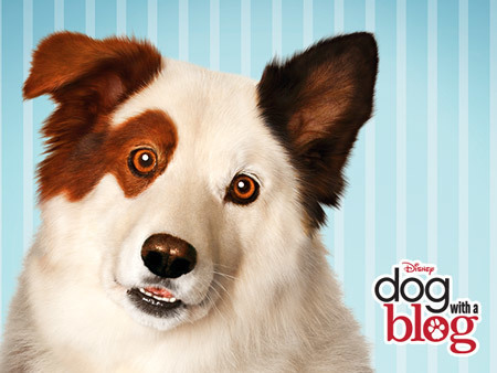 Dog With A Blog Shows On Disney Channel Dog With A Blog Shows On Disney Channel