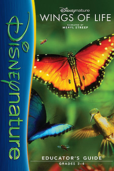 Wings Of Life Wings Of Life