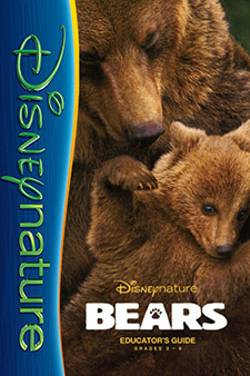 Bears Educator's Guide