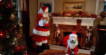 santa buddies santa buddies