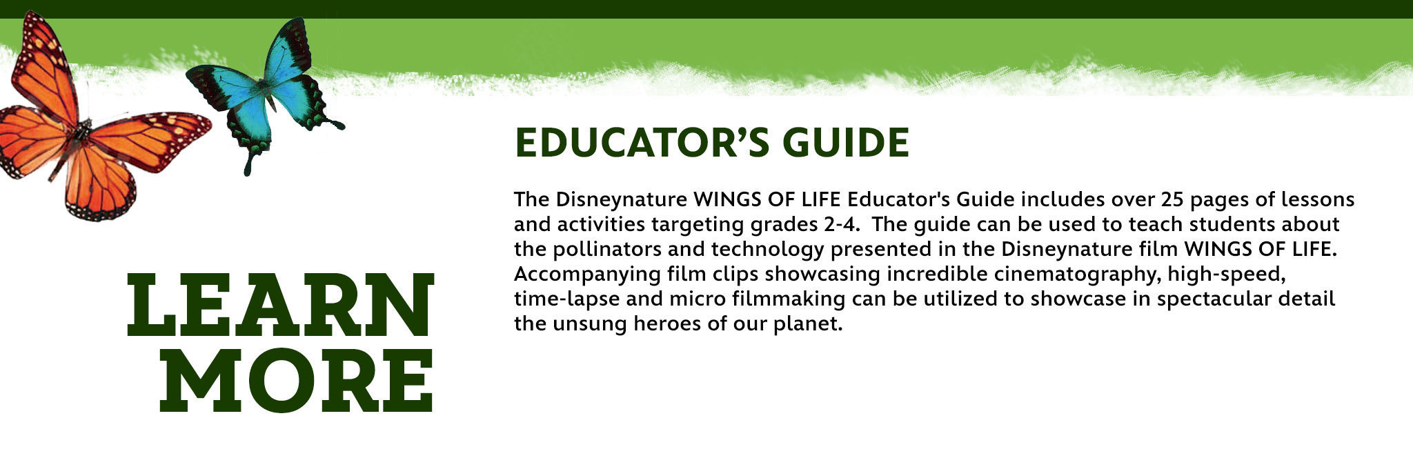 Wings of Life Disneynature