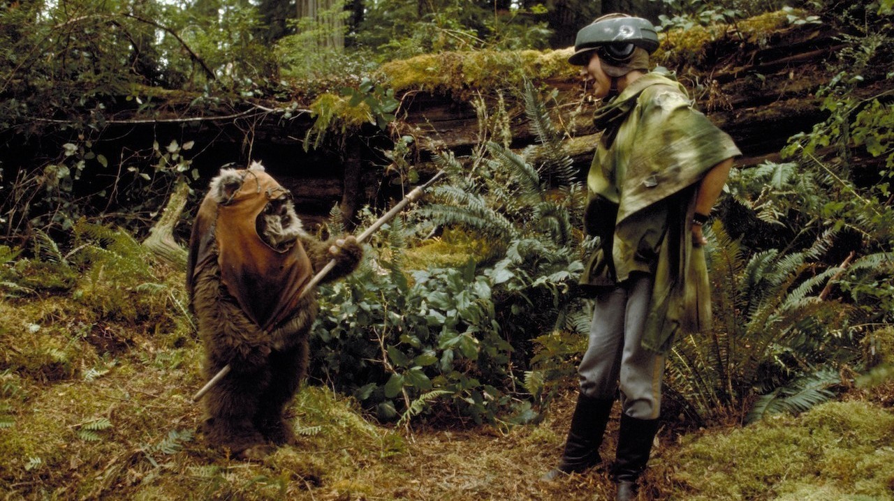 Ewok History Gallery